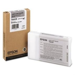 Cartouche d’encre noire légère originale Epson T6029 – C13T602900